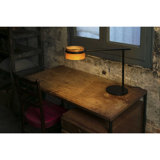 Griggs Metal Desk Lamp