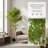 Tall Artificial Bamboo Tree with Plastic Pot