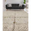 Dharma Oriental Area Rug