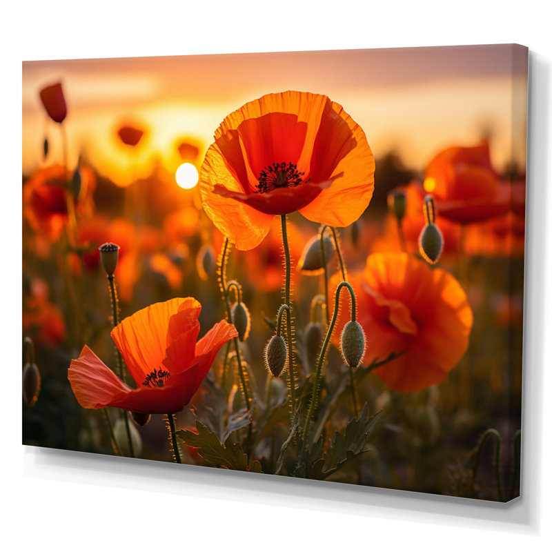 «Red Poppies Field With Sunset I», reproduction sur toile, H 30 po x l 40 po x P 1,5 po, Toile tendue