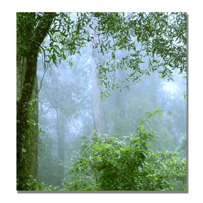 Beata Czyzowska Young - Photograph on Canvas