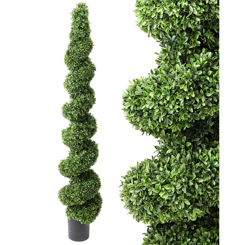 Topiaire de buis d'Amérique en pot, H 72 po x l 2,56 po x P 7,68 po