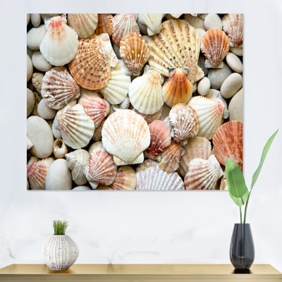 Red Orange And White Shells And Stones " Red Orange And White Shells And Stones "