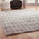 Geometric Indoor Rug