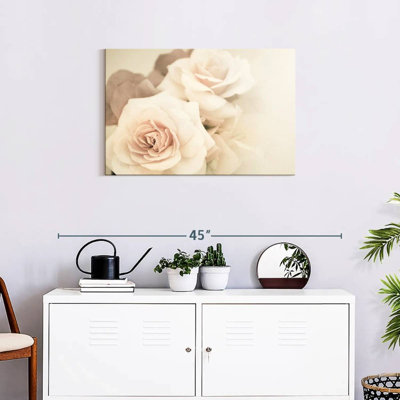Harnek, roses rétro douces