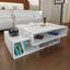 Kochinski Coffee Table with Storage