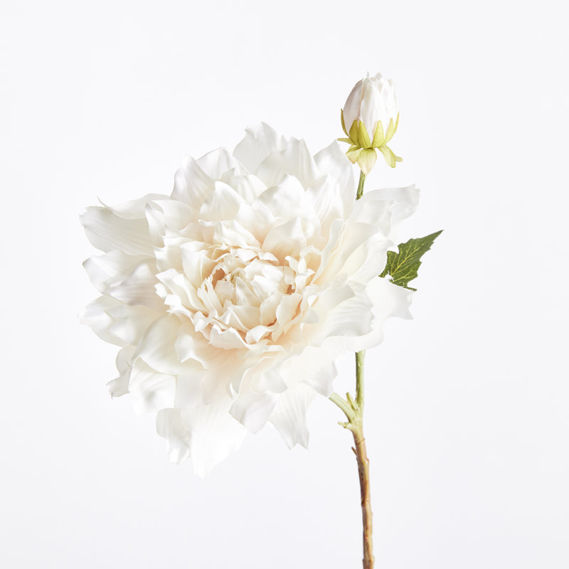 Tige de dahlia 21,5 po, Crème, crème