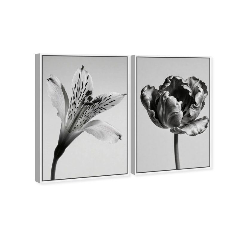 Peeking Flowers Set Set by Oliver Gal, 37"H x 55"W, White Floater Frame