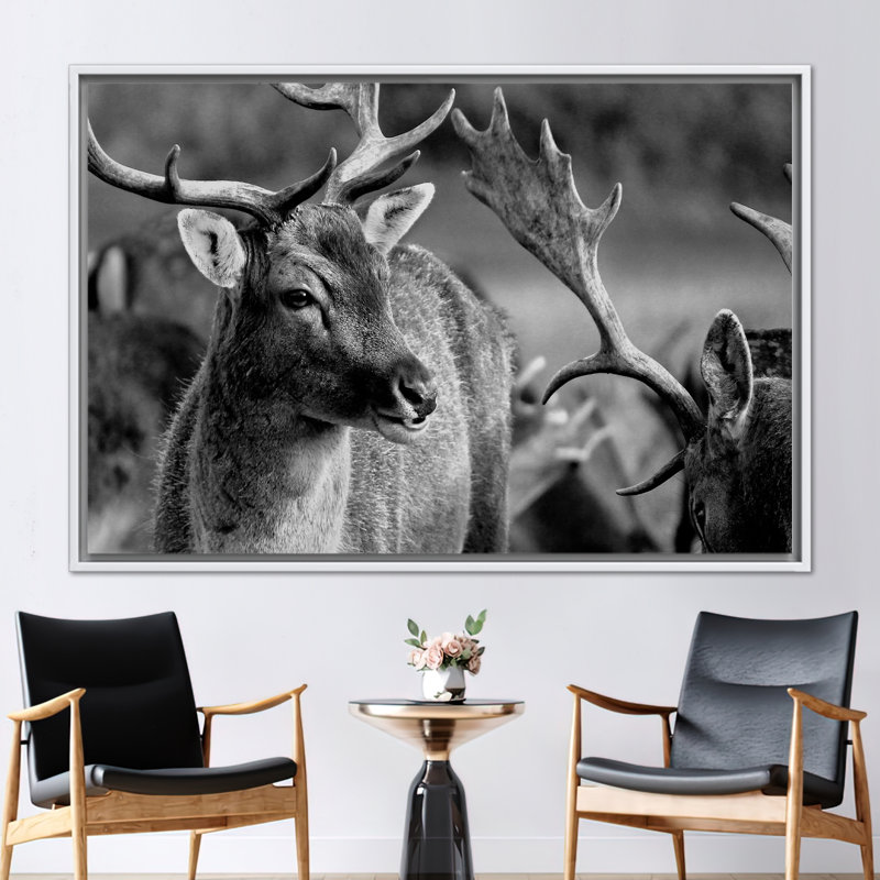 Print on Canvas, 20 cm H x 30 cm W, Framed Print without Mat, White