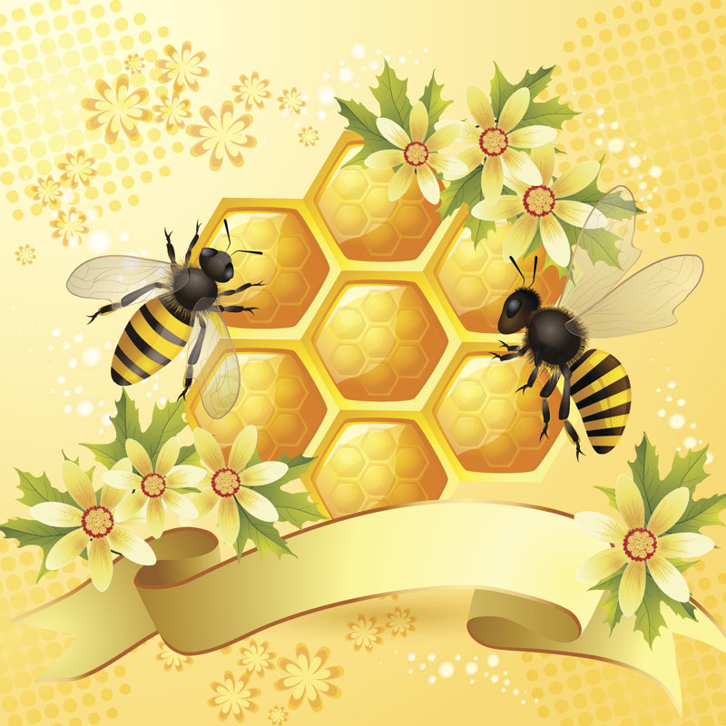 Honeycomb And Bees - Wrapped Canvas Print, 30cm H x 30cm W x 3.8cm D