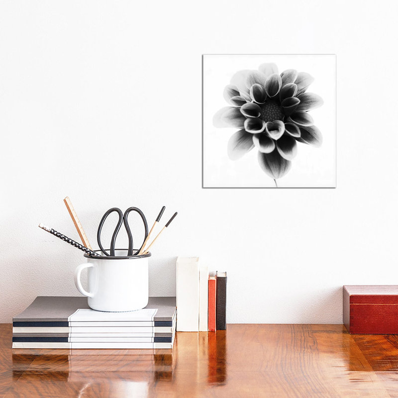 Dahlia 1 Piece Wrapped Canvas Wall Art, 30.48cm H x 30.48cm W x 1.905cm D