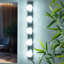 Barrat Wall Sconce-292761329