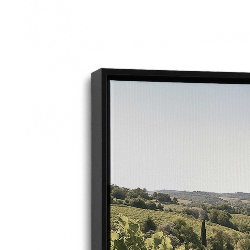 Sunlit Tuscan Vines, reproduction sur toile, Cadre flottant noir satiné, 12 po x 18 po