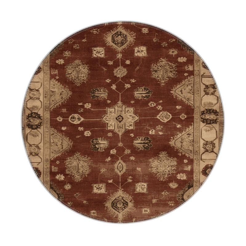 Tapis intérieur et extérieur brun Overdyed, Rond 5 pi