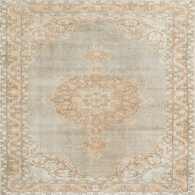 Oriental Indoor Rug