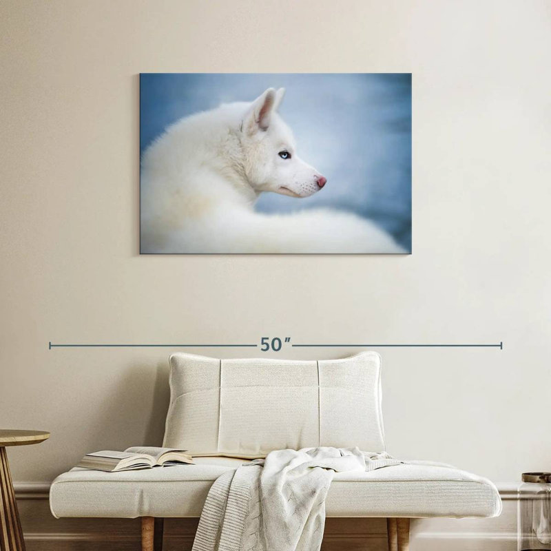 Pure White Husky, 24" H x 36" W
