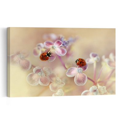 Ladybugs On Pink Flowers Delicate Serene Vibrant Ladybug Nature Spring Wall Art Print - Print