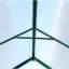 Serre en polycarbonate-115680555-115680554