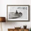 Laughing Seal - photographie avec cadre photo-1242266242-1242266300