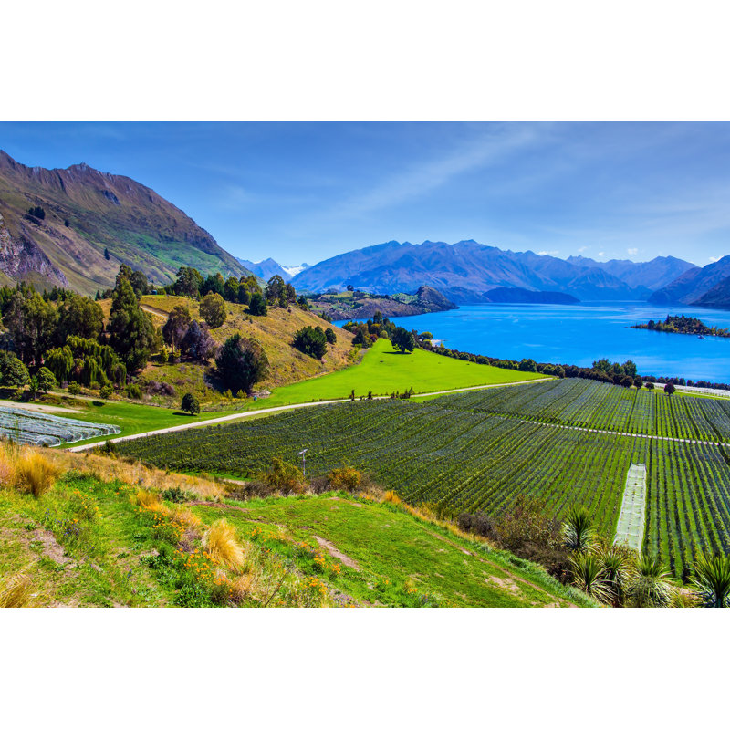 Fahy Picturesque Vineyard - Wrapped Canvas Print, 51cm H x 76cm W x 3.8cm D