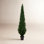 Yarbro Cedar Topiary in Pot