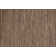 Kirkley Indoor Rug