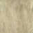 Antique Beige
