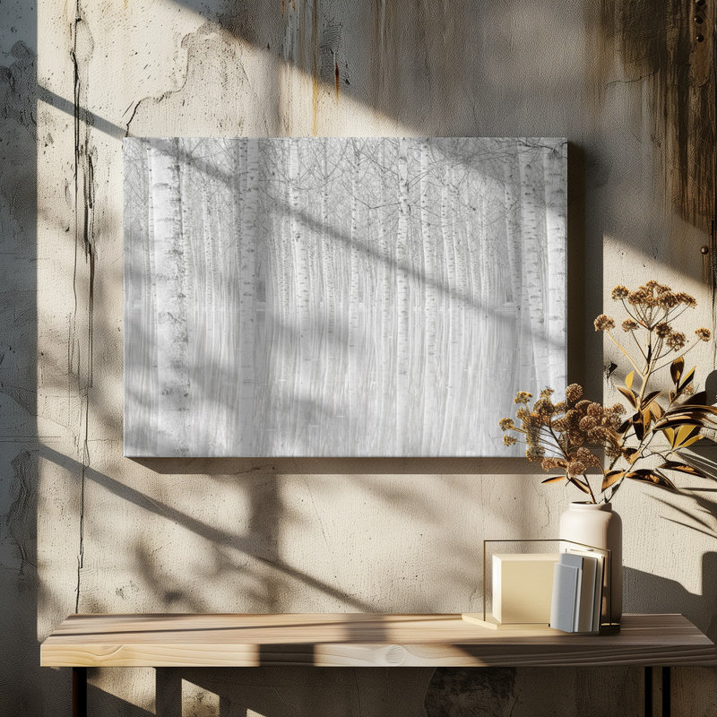Wrapped Canvas Print, 50.8 cm H x 76.2 cm W
