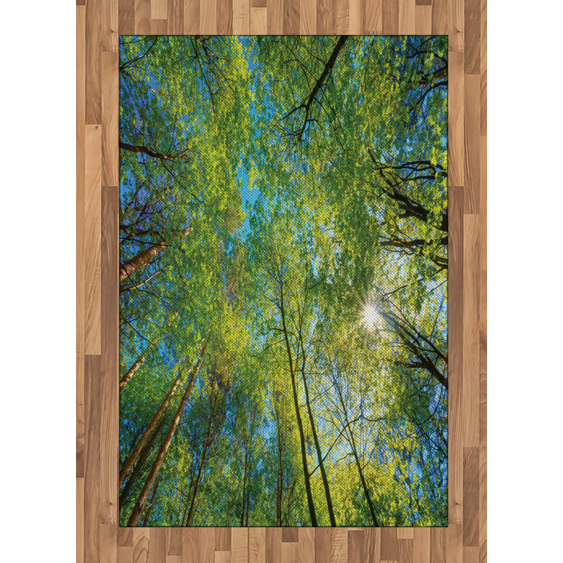 Scenery High Density Long Fiber Poly Threads Decorative Area Rug Carpet, Rectangle 4' x 5'8"