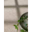 Dewit Wool Hand Woven Area Rug-1703764911-1703764908