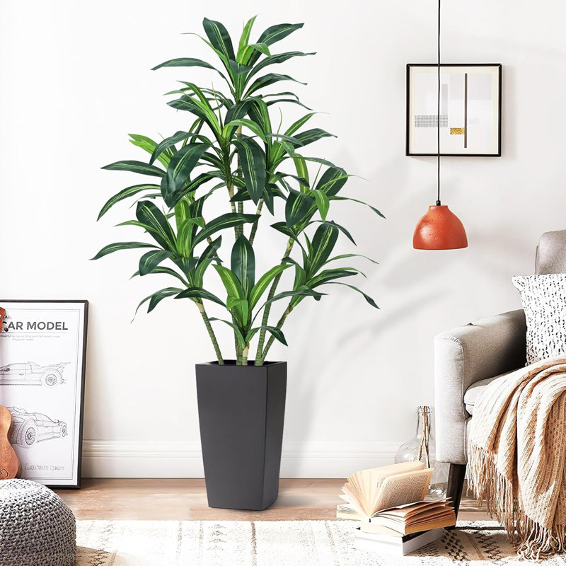 65cm Plant
