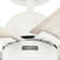 44" Erling 5 - Blade Ceiling Fan with LED Light Kit and Pull Chain