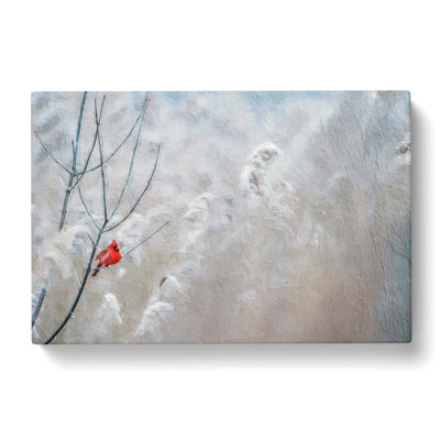 Cardinal Bird - Wrapped Canvas Print