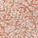 Condol Area Rug