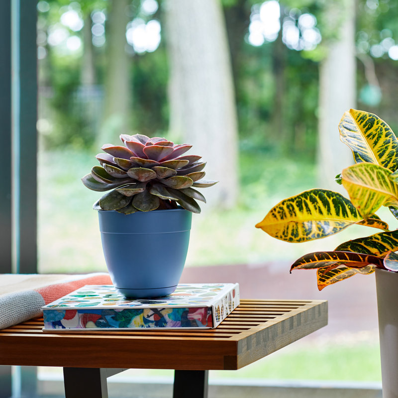 Jardinière intérieure / extérieure en plastique recyclé Dayton avec soucoupe attachée, Corail, H 18,23 po x l 20 po x P 20 po