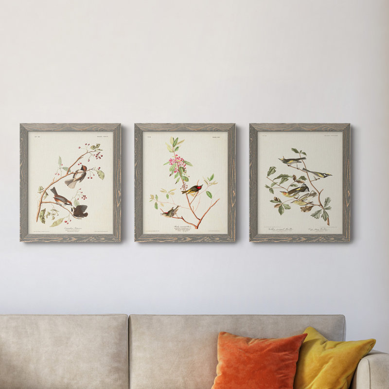 Pl. 194 Canadian Titmouse - Ensemble de 3 reproductions d'art sur toile, Gris, H 24 po x l 36 po x P 1,5 po