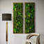 Art mural Symbiotikwalls Moss. Mur de mousse. Moss Art Panels. Art mural vert -111081429