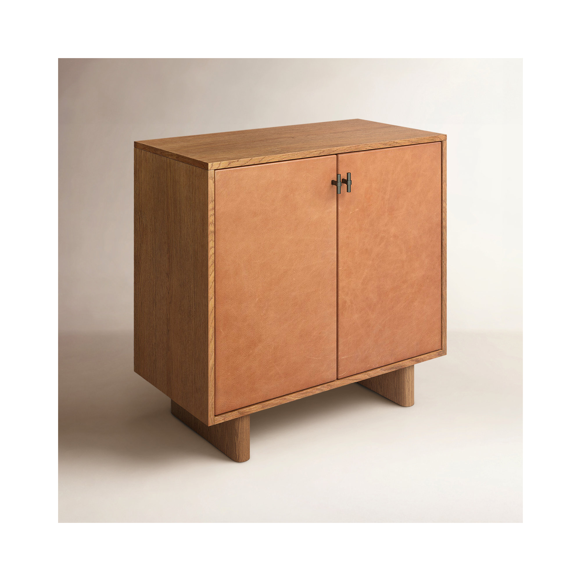 Kellie 2 -Door Storage Cabinet