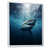 White Floater Framed