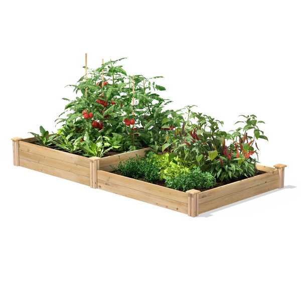 Arlmont & Co. Kellby Wood Raised Garden Bed | Wayfair