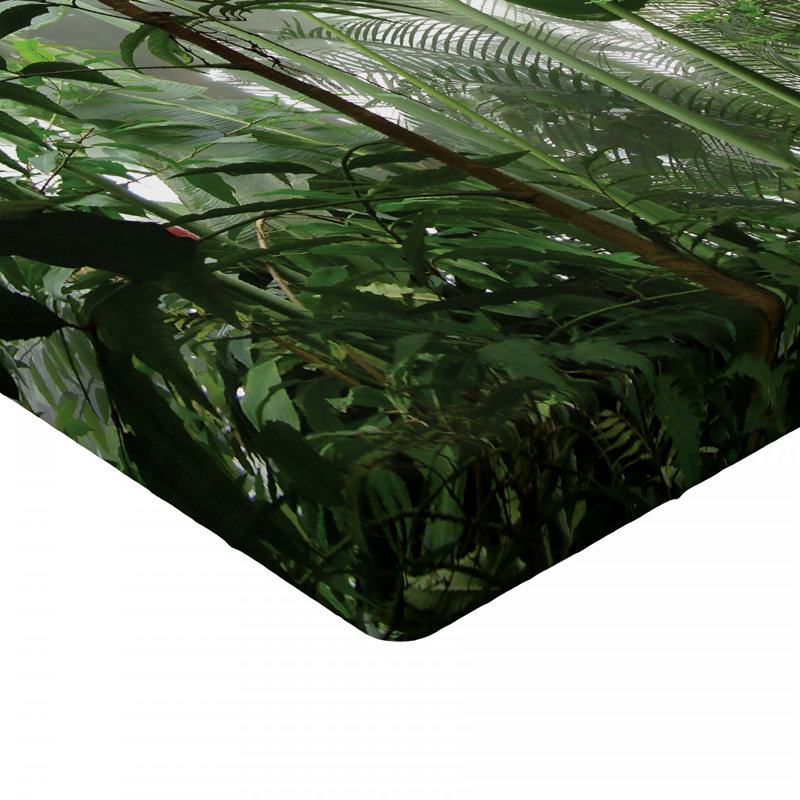 Microfiber Fitted Sheet, Twin Fitted Sheet
