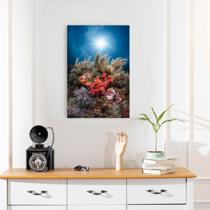 Sunlit Coral Garden Colorful Serene Tranquil Fish Nature Ocean Wall Art Print 1 Piece Wrapped Canvas Wall Art