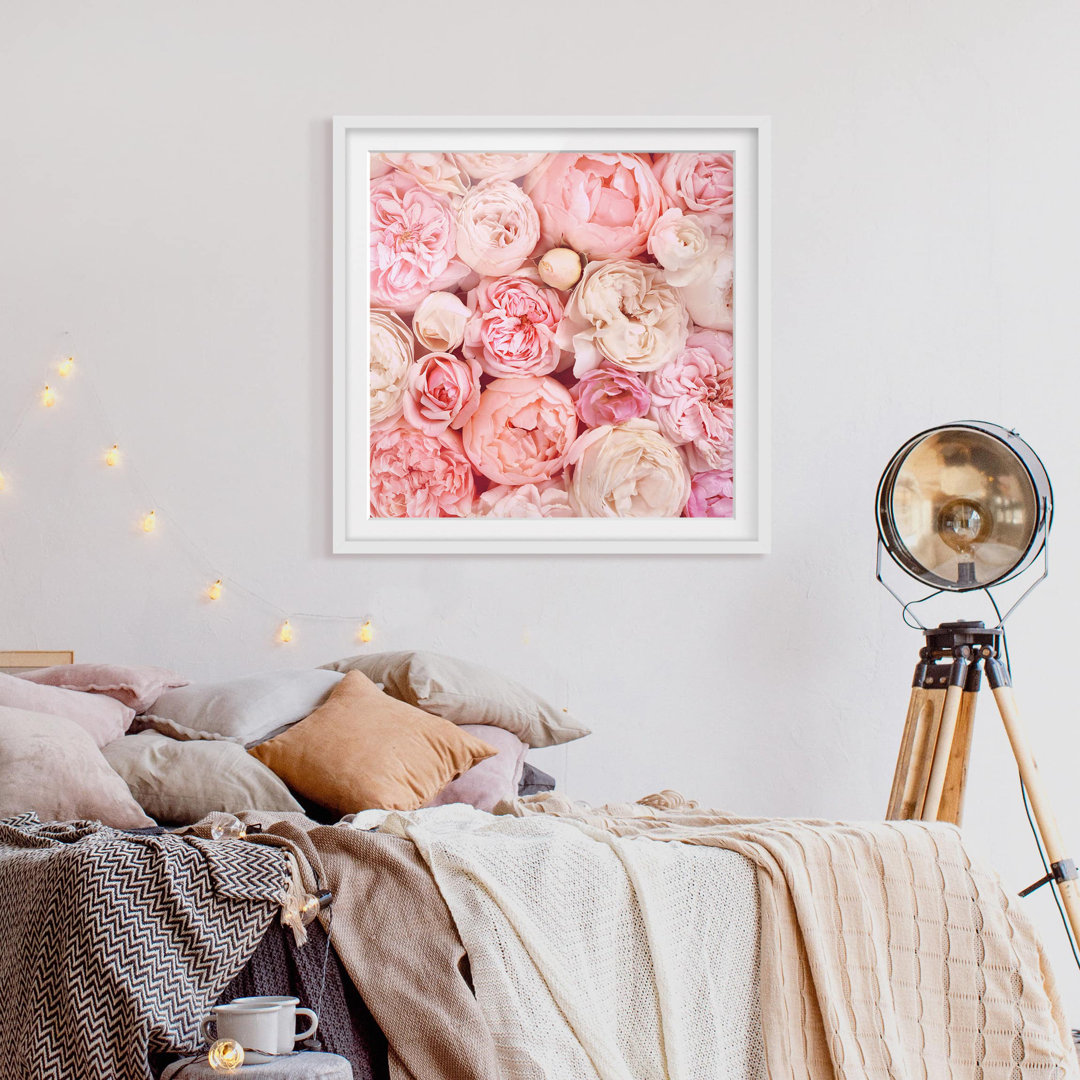 Gerahmter Grafikdruck Roses Coral Shabby