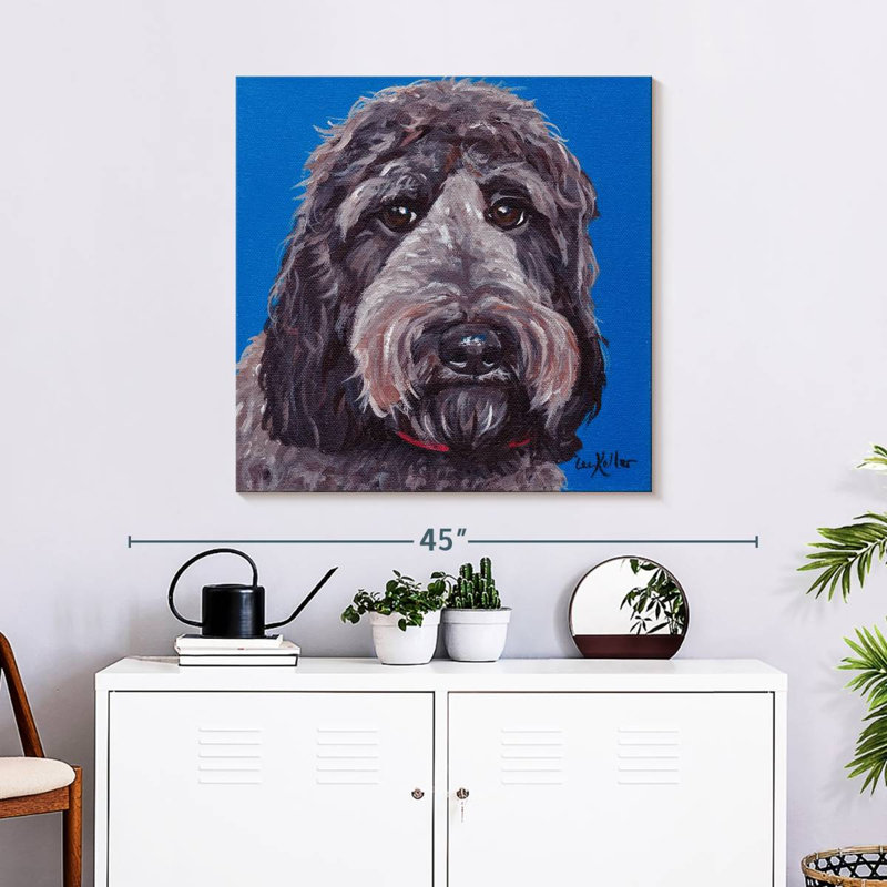 Crowle Labradoodle, 30" H x 30" W