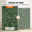 Plastic Border Fencing-612284962