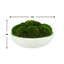 5" Artificial Moss Plant in Planter-729850857
