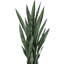 Plante de serpent artificielle Sansevieria en pot-1376818530-1474549792