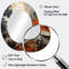 Miroir mural Minimalisme-1551750931