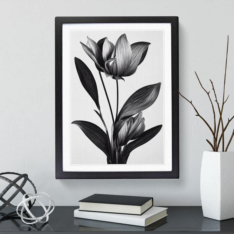 Monochrome Flower - Framed Print, Black, 46cm H x 34cm W x 2cm D