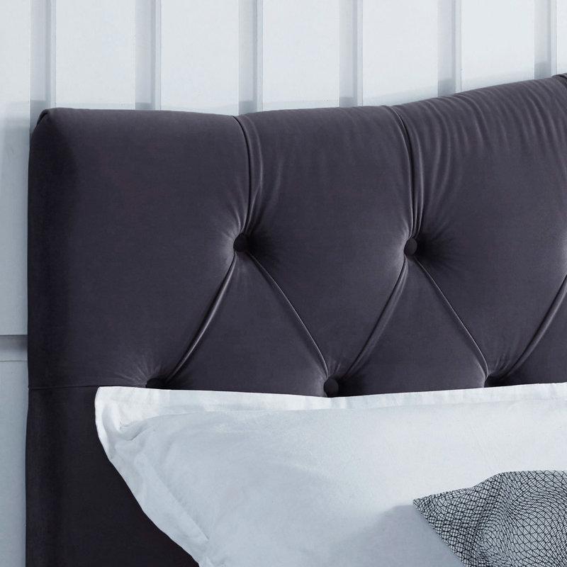 Tête de lit à panneau rembourrée Seo, Velours gris, Double / Grand